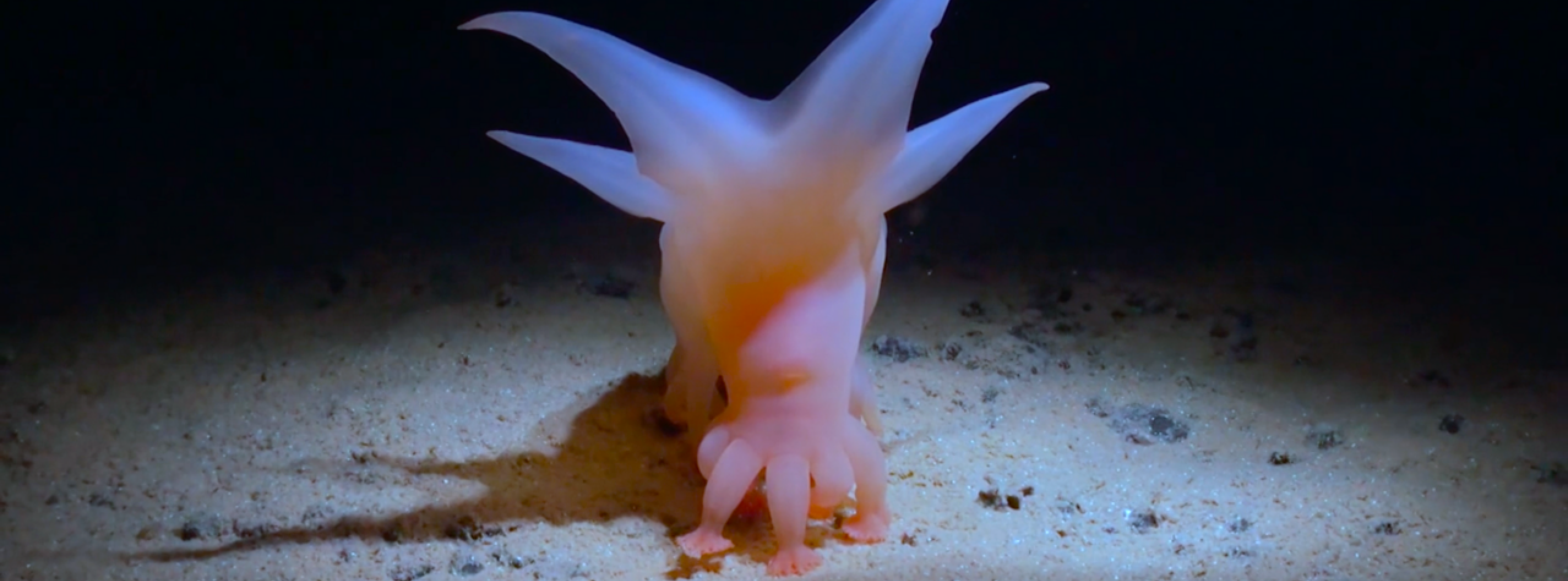 How Deep Is Your Love