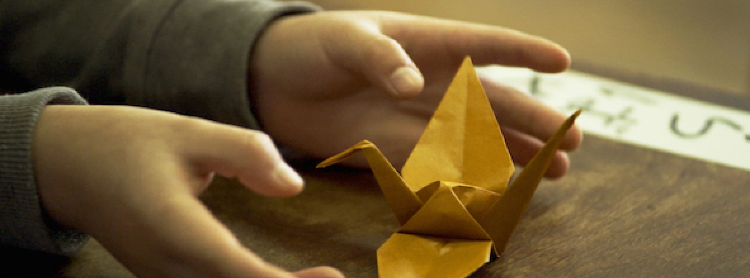 The Origami Code – Scientists uncover the power of folding
