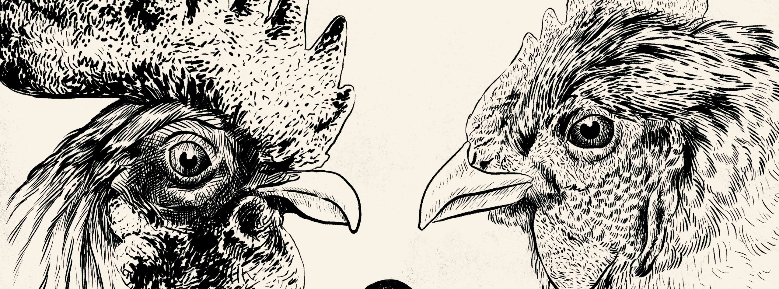 Shorts: Menu B