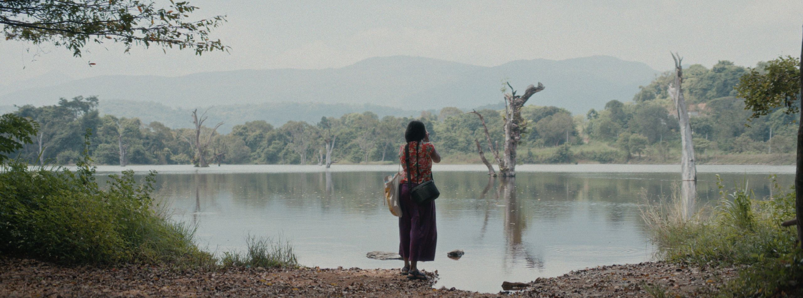 Elephants & Squirrels