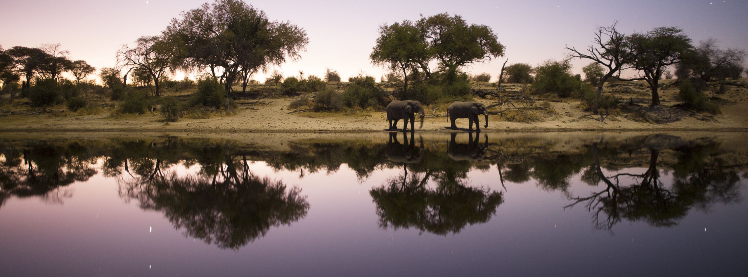 Into The Okavango