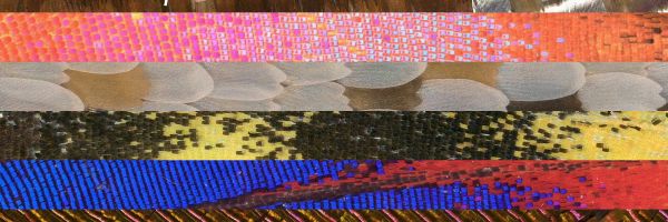 Biopixels