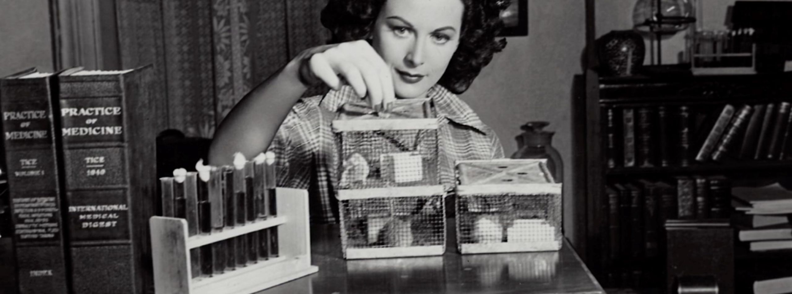 Bombshell: The Hedy Lamarr Story
