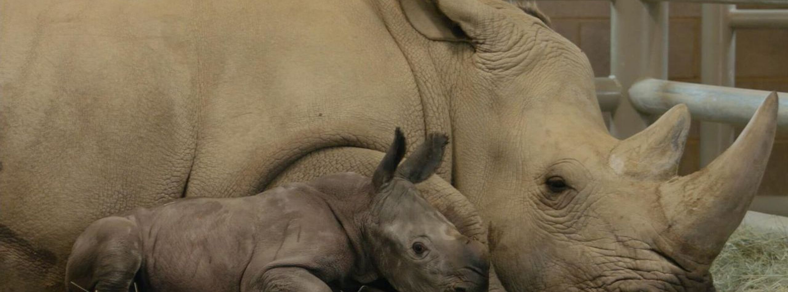 NTR De Kennis van Nu: Diepvriesdierentuin