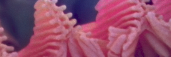Nanoscapes